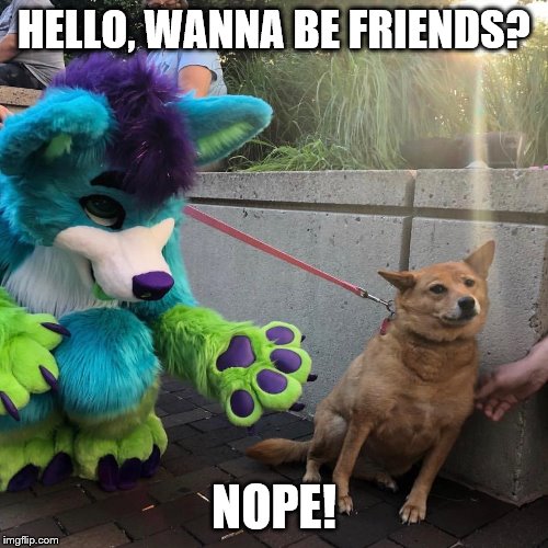 Dog afraid of furry |  HELLO, WANNA BE FRIENDS? NOPE! | image tagged in dog afraid of furry | made w/ Imgflip meme maker