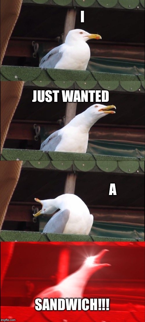 Inhaling Seagull | I; JUST WANTED; A; SANDWICH!!! | image tagged in memes,inhaling seagull | made w/ Imgflip meme maker