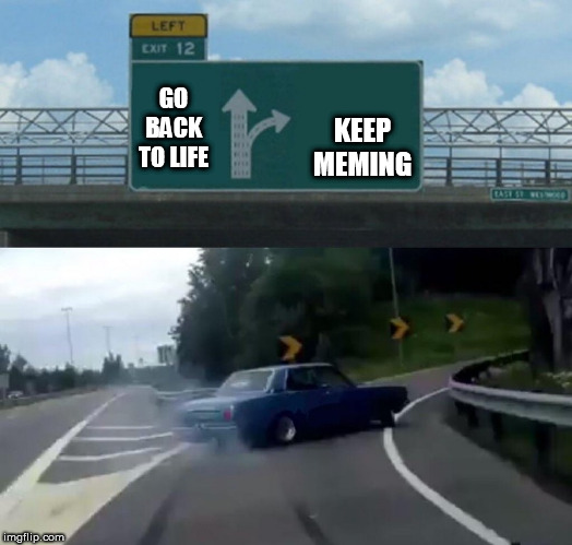 YEAH  RIGHT,  HAVE  FUN INSTEAD OF REGULAR LIFE  ANYDAY! | GO BACK TO LIFE; KEEP MEMING | image tagged in memes,left exit 12 off ramp | made w/ Imgflip meme maker