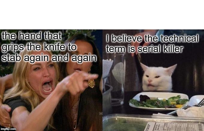 Woman Yelling At Cat Meme | the hand that grips the knife to stab again and again I believe the technical term is serial killer | image tagged in memes,woman yelling at cat | made w/ Imgflip meme maker