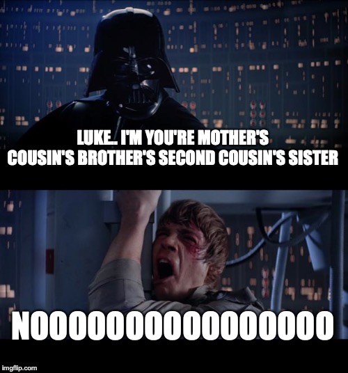 Star Wars No Meme | LUKE.. I'M YOU'RE MOTHER'S COUSIN'S BROTHER'S SECOND COUSIN'S SISTER; NOOOOOOOOOOOOOOOO | image tagged in memes,star wars no | made w/ Imgflip meme maker