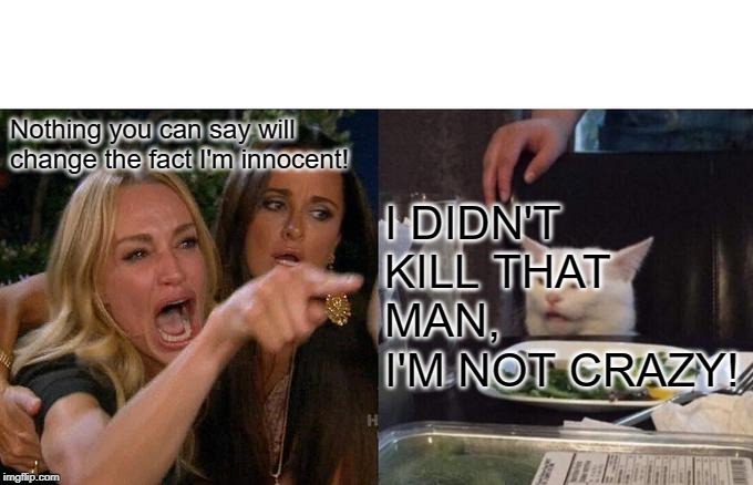 Woman Yelling At Cat | Nothing you can say will change the fact I'm innocent! I DIDN'T KILL THAT MAN, I'M NOT CRAZY! | image tagged in memes,woman yelling at cat | made w/ Imgflip meme maker