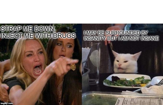 Woman Yelling At Cat | STRAP ME DOWN, INJECT ME WITH DRUGS; I MAY BE SURROUNDED BY INSANITY BUT I AM NOT INSANE | image tagged in memes,woman yelling at cat | made w/ Imgflip meme maker