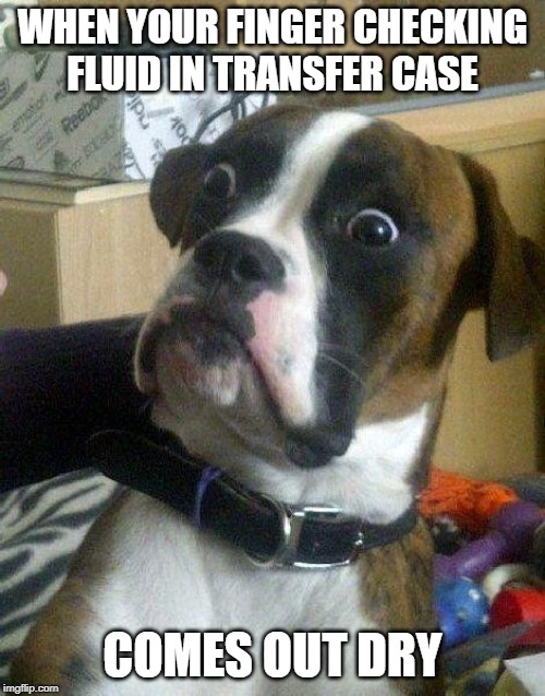 Surprised Dog | WHEN YOUR FINGER CHECKING FLUID IN TRANSFER CASE; COMES OUT DRY | image tagged in truck,oops,chevy,ford,4x4 | made w/ Imgflip meme maker