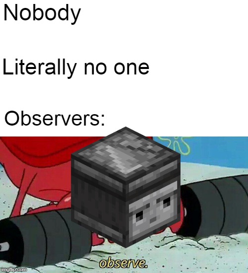 oBsErVe | Nobody; Literally no one; Observers: | image tagged in observe,memes | made w/ Imgflip meme maker
