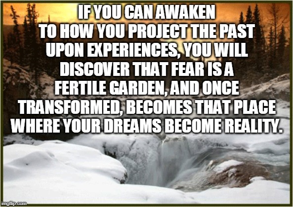 IF YOU CAN AWAKEN TO HOW YOU PROJECT THE PAST UPON EXPERIENCES, YOU WILL DISCOVER THAT FEAR IS A FERTILE GARDEN, AND ONCE TRANSFORMED, BECOMES THAT PLACE WHERE YOUR DREAMS BECOME REALITY. | image tagged in wisdom | made w/ Imgflip meme maker