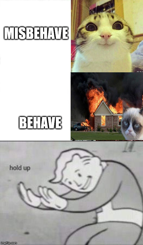 MISBEHAVE; BEHAVE | image tagged in memes,sleeping shaq,fallout hold up | made w/ Imgflip meme maker