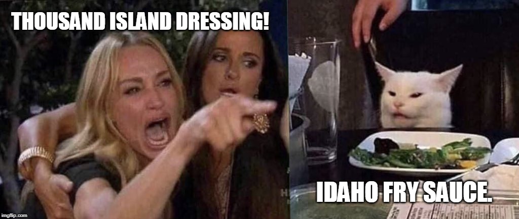 woman yelling at cat | THOUSAND ISLAND DRESSING! IDAHO FRY SAUCE. | image tagged in woman yelling at cat | made w/ Imgflip meme maker
