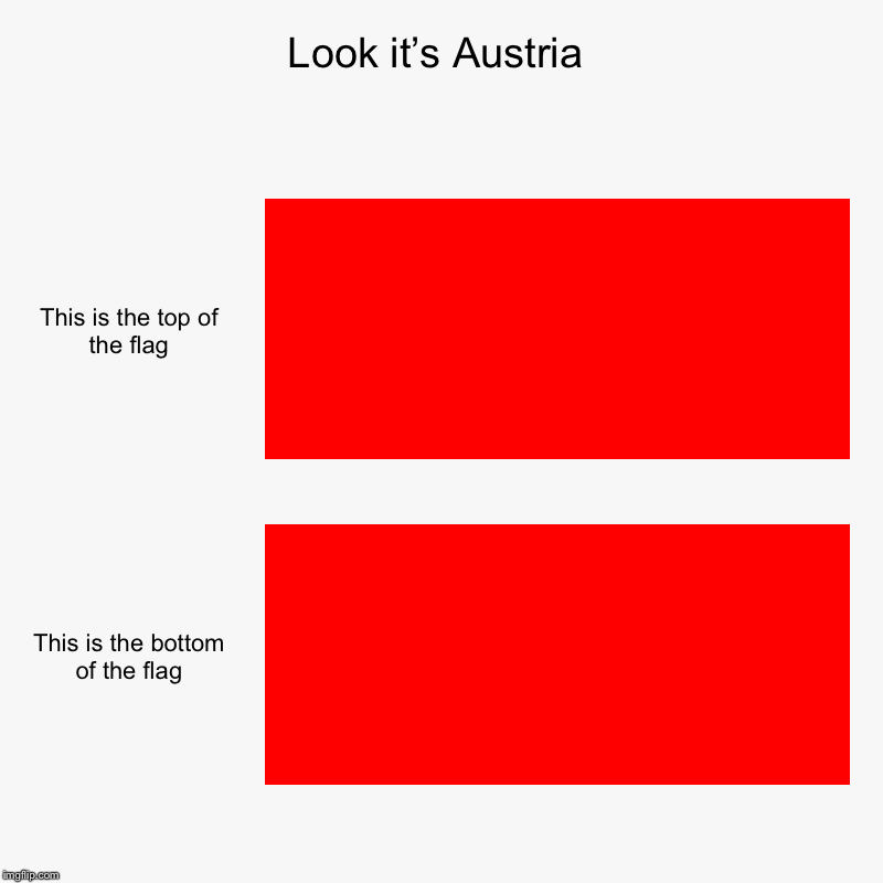 Look it’s Austria | This is the top of the flag, This is the bottom of the flag | image tagged in charts,bar charts | made w/ Imgflip chart maker