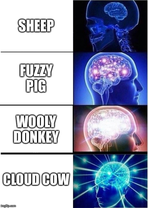 Expanding Brain | SHEEP; FUZZY PIG; WOOLY DONKEY; CLOUD COW | image tagged in memes,expanding brain | made w/ Imgflip meme maker