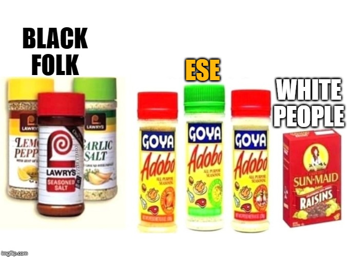BLACK FOLK; ESE; WHITE PEOPLE; COVELL BELLAMY III | image tagged in ethnic seasoning | made w/ Imgflip meme maker