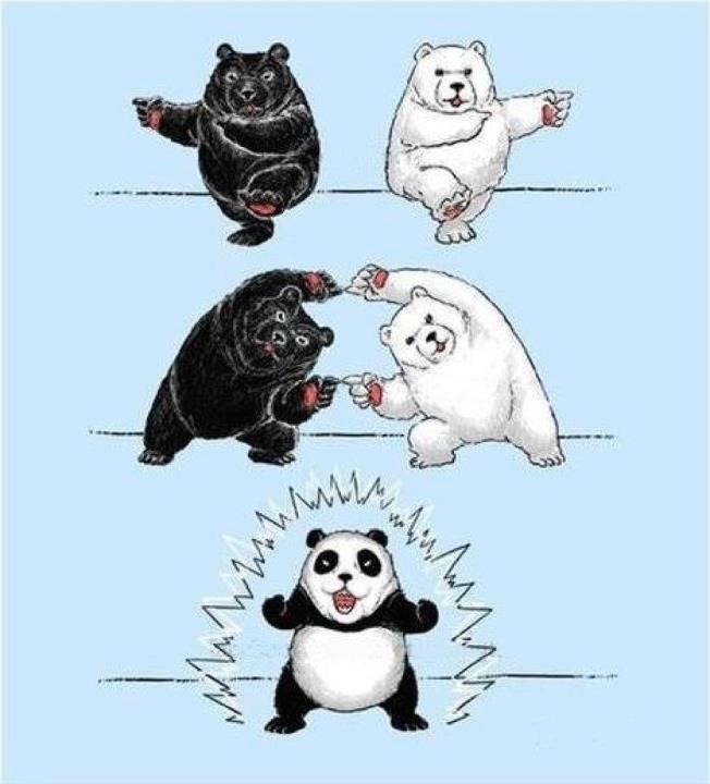 High Quality Panda fusion Blank Meme Template