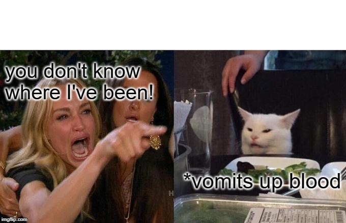 Woman Yelling At Cat Meme | you don't know where I've been! *vomits up blood | image tagged in memes,woman yelling at cat | made w/ Imgflip meme maker