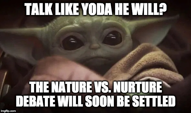 Baby Yoda | TALK LIKE YODA HE WILL? THE NATURE VS. NURTURE DEBATE WILL SOON BE SETTLED | image tagged in baby yoda | made w/ Imgflip meme maker