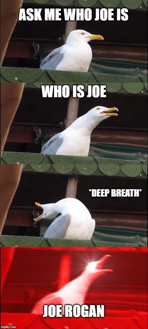 Inhaling Seagull | ASK ME WHO JOE IS; WHO IS JOE; *DEEP BREATH*; JOE ROGAN | image tagged in memes,inhaling seagull | made w/ Imgflip meme maker