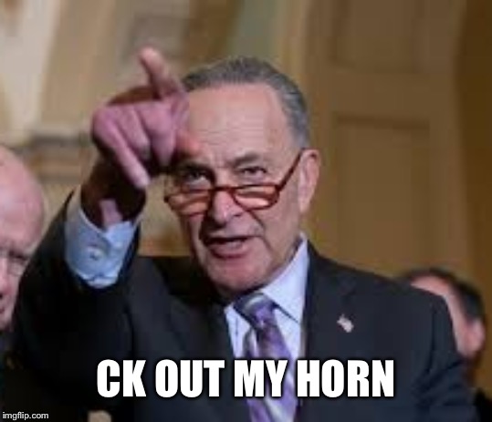 Schmuck Shumer | CK OUT MY HORN | image tagged in schmuck shumer | made w/ Imgflip meme maker