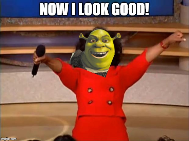 Oprah You Get A | NOW I LOOK GOOD! | image tagged in memes,oprah you get a | made w/ Imgflip meme maker