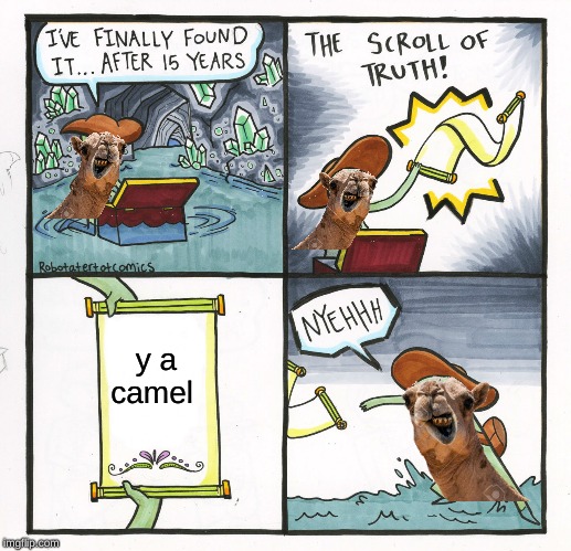 The Scroll Of Truth | y a camel | image tagged in memes,the scroll of truth | made w/ Imgflip meme maker