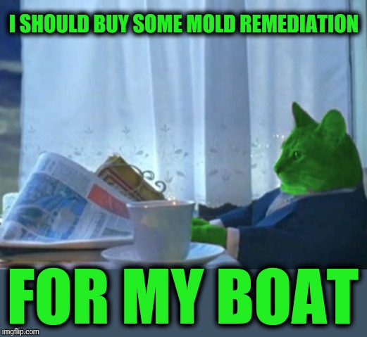 I Should Buy a Boat RayCat | I SHOULD BUY SOME MOLD REMEDIATION FOR MY BOAT | image tagged in i should buy a boat raycat | made w/ Imgflip meme maker