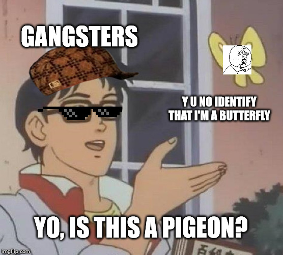 Is This A Pigeon Meme |  GANGSTERS; Y U NO IDENTIFY THAT I'M A BUTTERFLY; YO, IS THIS A PIGEON? | image tagged in memes,is this a pigeon | made w/ Imgflip meme maker