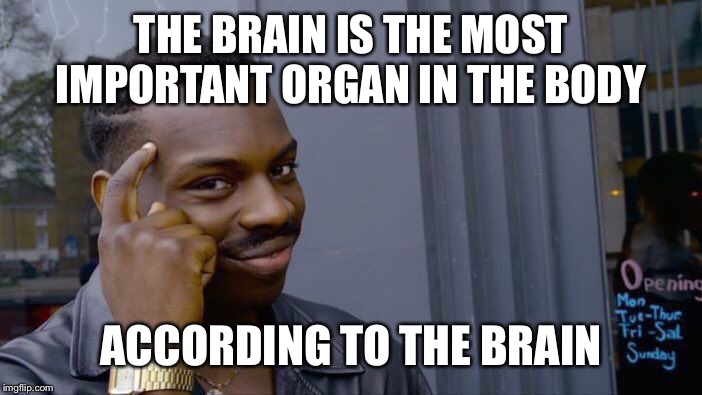 Roll Safe Think About It Meme | THE BRAIN IS THE MOST IMPORTANT ORGAN IN THE BODY; ACCORDING TO THE BRAIN | image tagged in memes,roll safe think about it | made w/ Imgflip meme maker