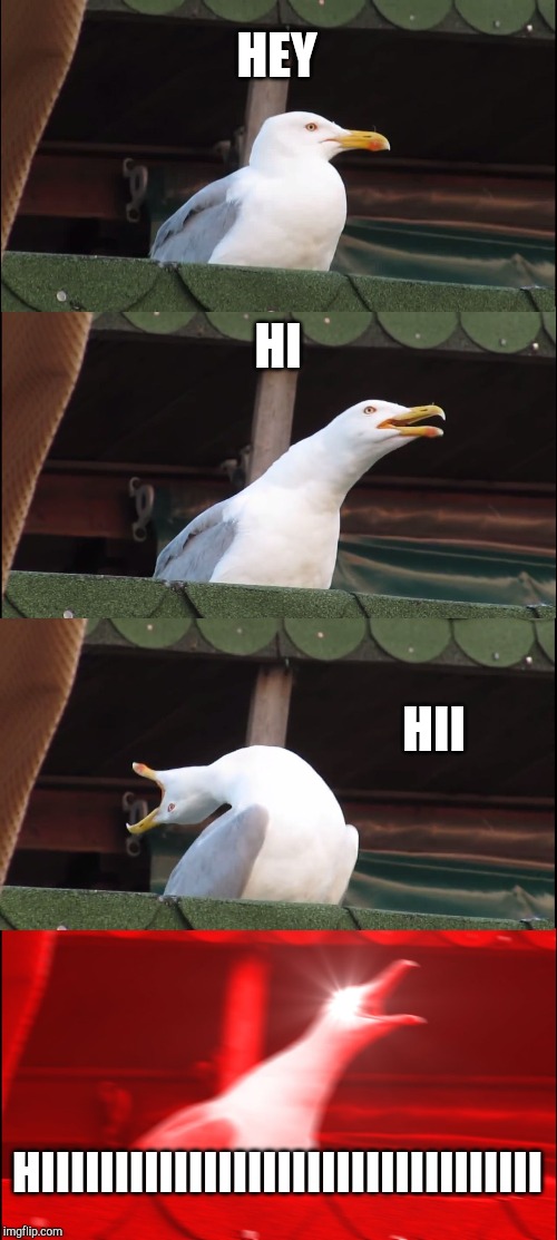 Inhaling Seagull | HEY; HI; HII; HIIIIIIIIIIIIIIIIIIIIIIIIIIIIIIIIII | image tagged in memes,inhaling seagull | made w/ Imgflip meme maker