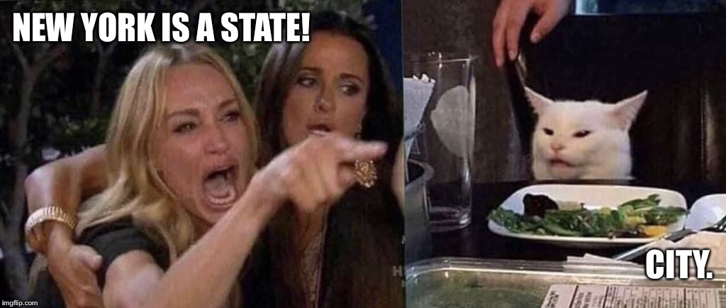 woman yelling at cat | NEW YORK IS A STATE! CITY. | image tagged in woman yelling at cat | made w/ Imgflip meme maker