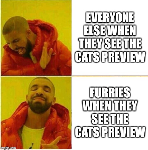 Drake Hotline approves | EVERYONE ELSE WHEN THEY SEE THE CATS PREVIEW; FURRIES WHEN THEY SEE THE CATS PREVIEW | image tagged in drake hotline approves | made w/ Imgflip meme maker