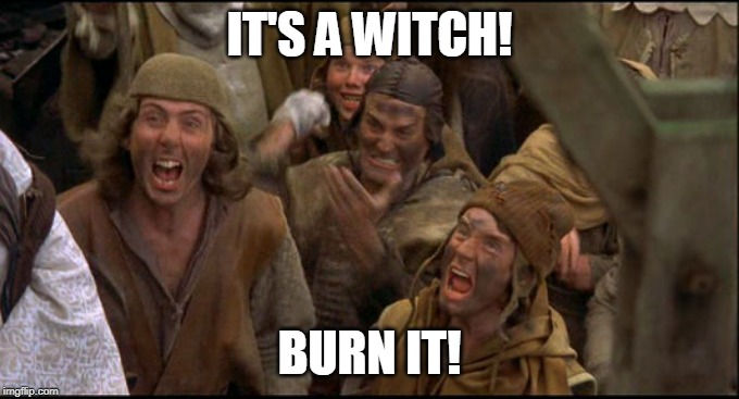 Monty Python witch | IT'S A WITCH! BURN IT! | image tagged in monty python witch | made w/ Imgflip meme maker