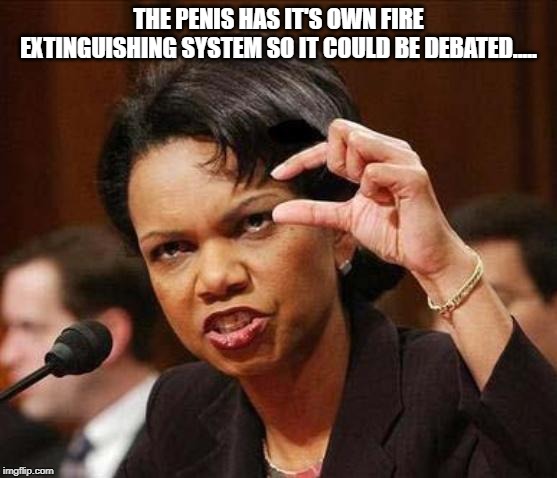 small little penis dick | THE P**IS HAS IT'S OWN FIRE EXTINGUISHING SYSTEM SO IT COULD BE DEBATED..... | image tagged in small little penis dick | made w/ Imgflip meme maker