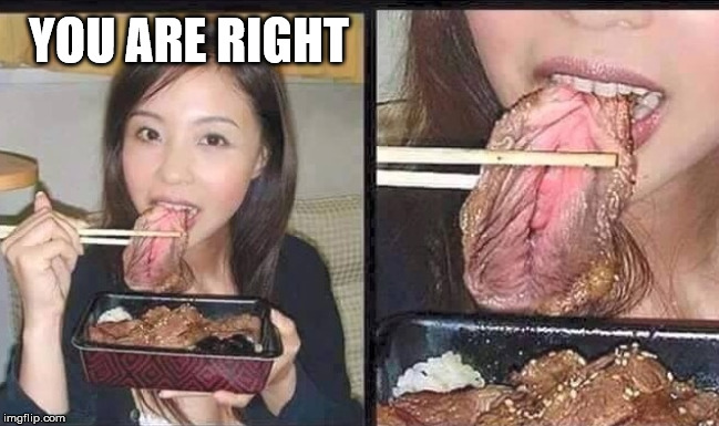 Eating pussy | YOU ARE RIGHT | image tagged in eating pussy | made w/ Imgflip meme maker