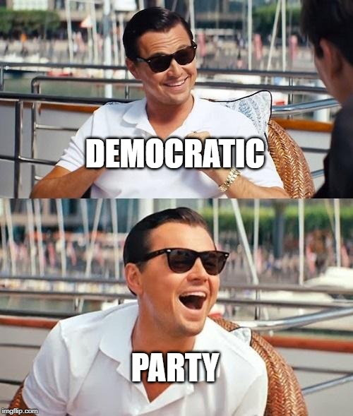 Leonardo Dicaprio Wolf Of Wall Street Meme | DEMOCRATIC PARTY | image tagged in memes,leonardo dicaprio wolf of wall street | made w/ Imgflip meme maker