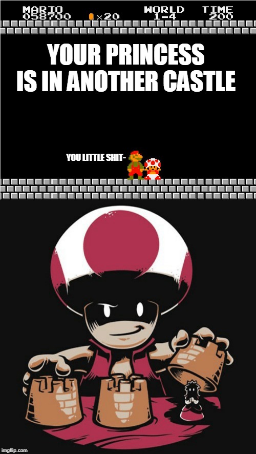 DAMN TOAD | YOUR PRINCESS IS IN ANOTHER CASTLE; YOU LITTLE SHIT- | image tagged in your princess is in another castle,toad,super mario bros | made w/ Imgflip meme maker
