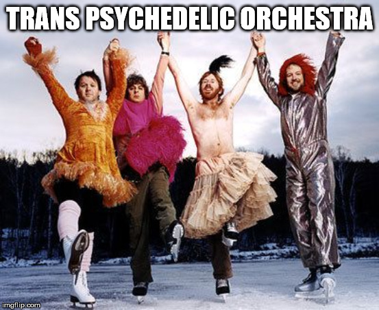 Phish | TRANS PSYCHEDELIC ORCHESTRA | image tagged in phish | made w/ Imgflip meme maker