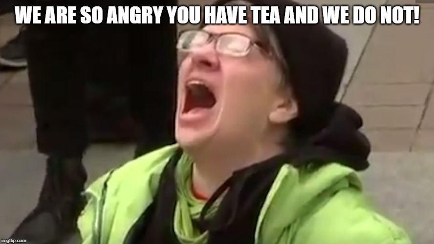 Screaming Liberal  | WE ARE SO ANGRY YOU HAVE TEA AND WE DO NOT! | image tagged in screaming liberal | made w/ Imgflip meme maker