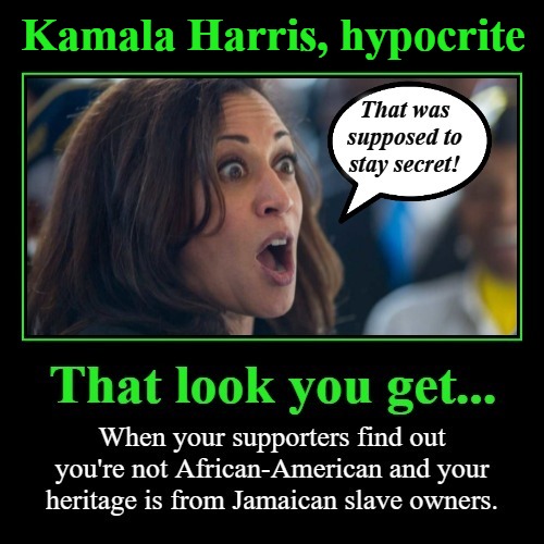 Kamala Harris, hypocrite | Kamala Harris, hypocrite | image tagged in kamala harris,liberal hypocrisy,triggered liberal,triggered feminist,sjw triggered,phony | made w/ Imgflip meme maker