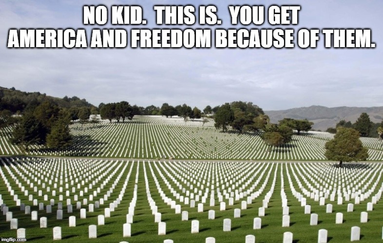 Arlington National Cemetery | NO KID.  THIS IS.  YOU GET AMERICA AND FREEDOM BECAUSE OF THEM. | image tagged in arlington national cemetery | made w/ Imgflip meme maker