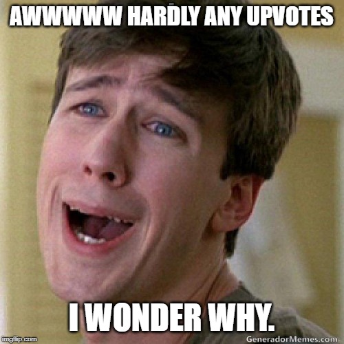 awww | AWWWWW HARDLY ANY UPVOTES I WONDER WHY. | image tagged in awww | made w/ Imgflip meme maker