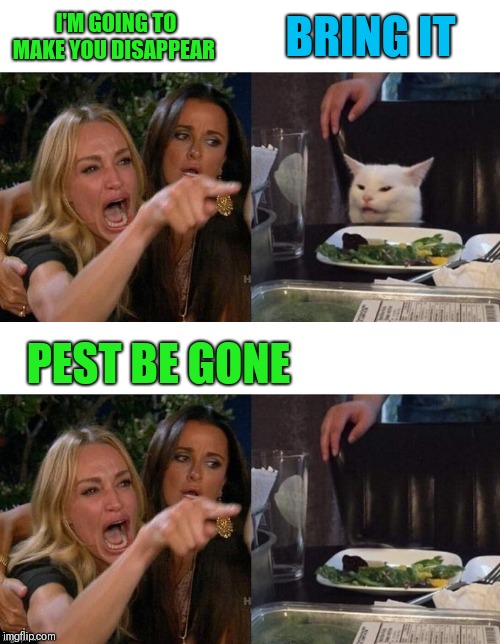 Abracadabra | BRING IT; I'M GOING TO MAKE YOU DISAPPEAR; PEST BE GONE | image tagged in memes,woman yelling at cat,44colt,magic,disappeared | made w/ Imgflip meme maker