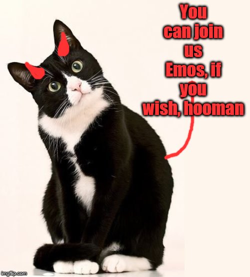Tuxedo Cat | You can join us Emos, if you wish, hooman | image tagged in tuxedo cat | made w/ Imgflip meme maker