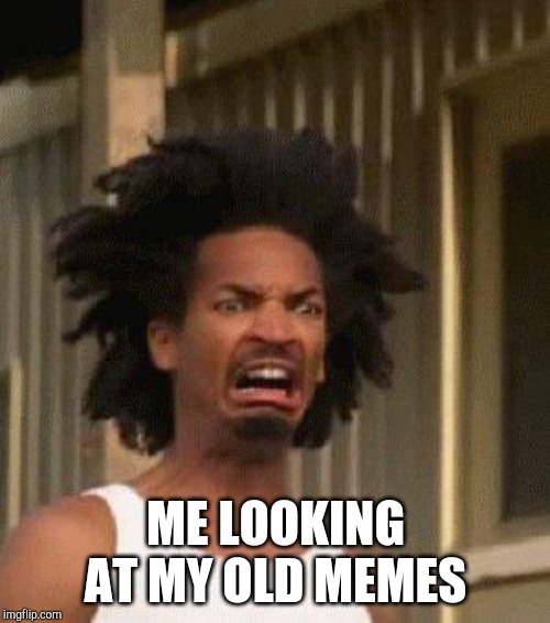 Disgusted Face | ME LOOKING AT MY OLD MEMES | image tagged in disgusted face | made w/ Imgflip meme maker