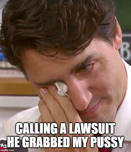 Justin Trudeau Crying | CALLING A LAWSUIT HE GRABBED MY PUSSY | image tagged in justin trudeau crying | made w/ Imgflip meme maker