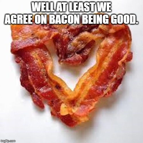 bacon | WELL AT LEAST WE AGREE ON BACON BEING GOOD. | image tagged in bacon | made w/ Imgflip meme maker
