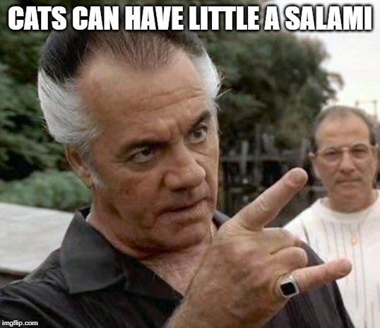Paulie Gualtieri | CATS CAN HAVE LITTLE A SALAMI | image tagged in paulie gualtieri | made w/ Imgflip meme maker