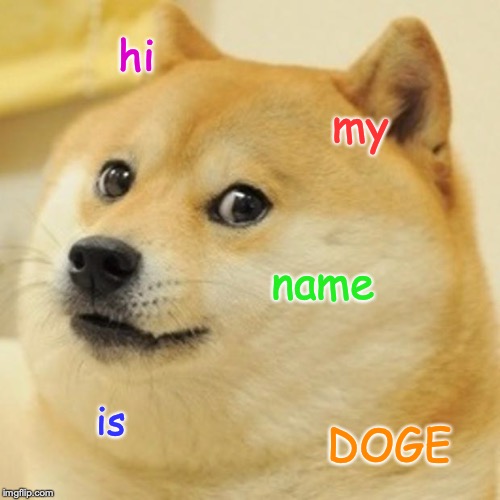 Doge Meme | hi; my; name; is; DOGE | image tagged in memes,doge | made w/ Imgflip meme maker