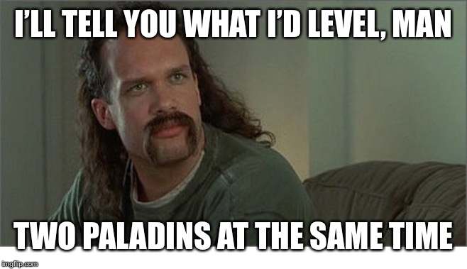 Two Chicks at the Same Time | I’LL TELL YOU WHAT I’D LEVEL, MAN; TWO PALADINS AT THE SAME TIME | image tagged in two chicks at the same time | made w/ Imgflip meme maker