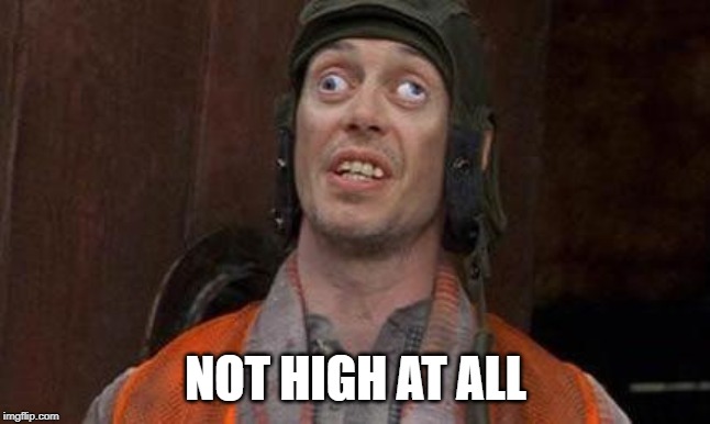 Looks Good To Me | NOT HIGH AT ALL | image tagged in looks good to me | made w/ Imgflip meme maker