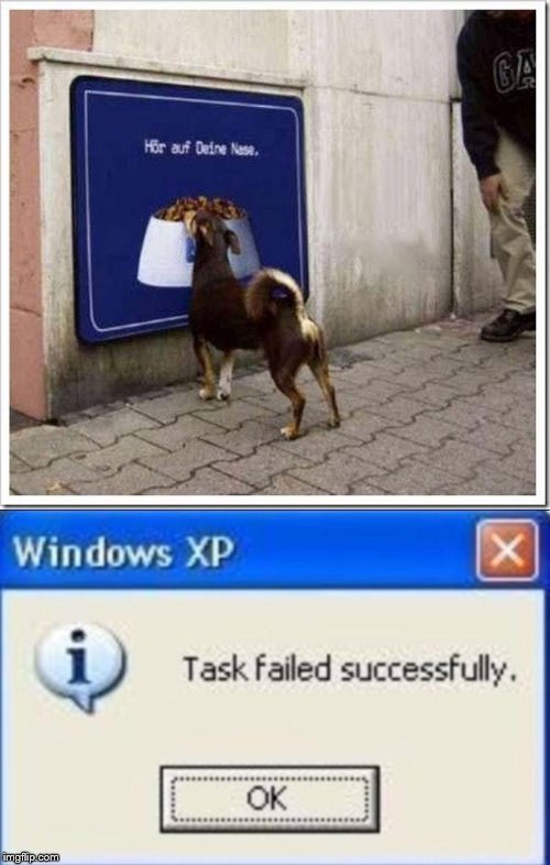 Hangry Doggo | image tagged in task failed successfully,doggo | made w/ Imgflip meme maker