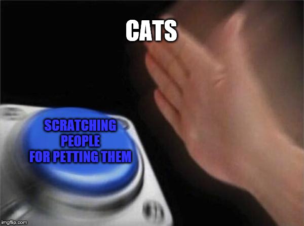 Blank Nut Button | CATS; SCRATCHING PEOPLE FOR PETTING THEM | image tagged in memes,blank nut button | made w/ Imgflip meme maker