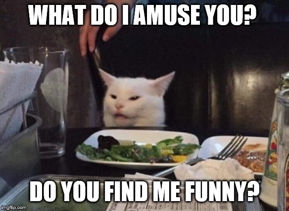 Smudge the Cat | WHAT DO I AMUSE YOU? DO YOU FIND ME FUNNY? | image tagged in smudge the cat | made w/ Imgflip meme maker